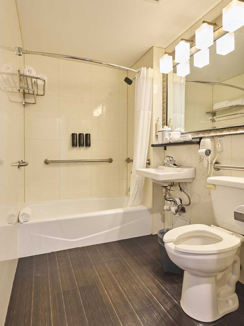 grab bars bathroom