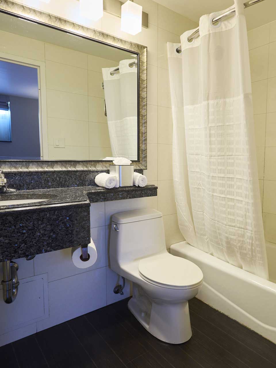 toilet and bathtub
